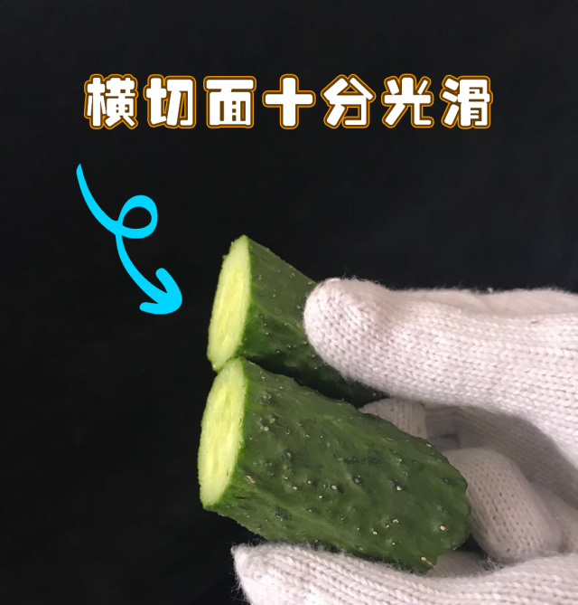 风筝线隐形杀手视频,风筝线暗藏杀伤力