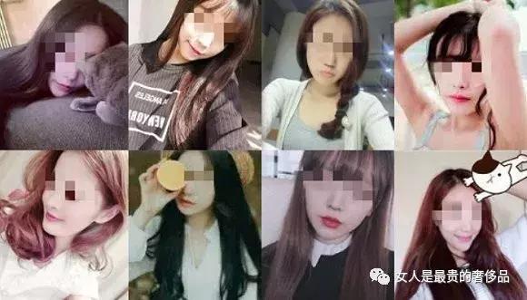 微信卖茶女套路大全,揭秘微信卖茶女