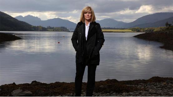 十部零差评悬疑剧日本,十部零差评悬疑剧韩剧