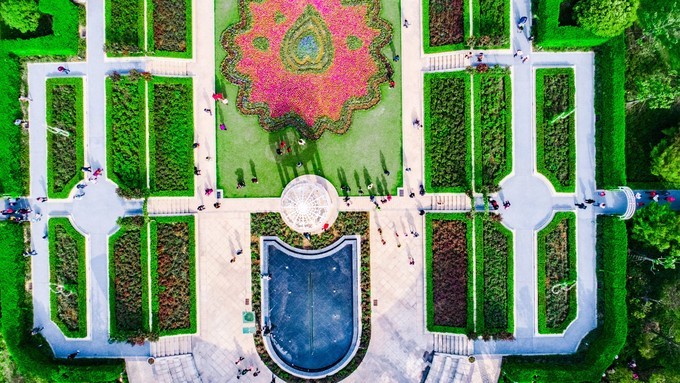 滁州花博园秋景,秋天滁州花博园图片