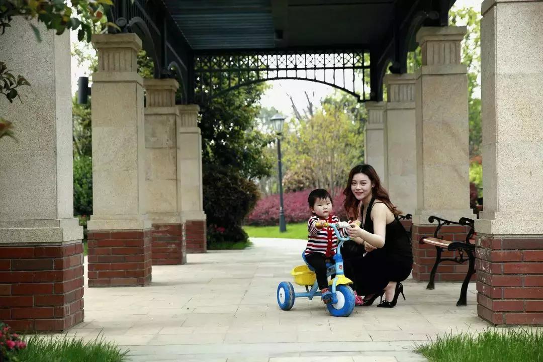 豫发集团创始人,豫发集团旗下公司