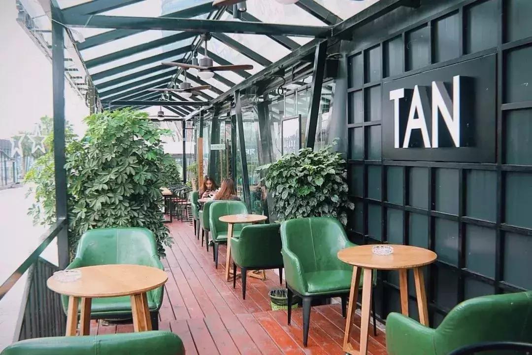 广西网红茶,爆款网红茶