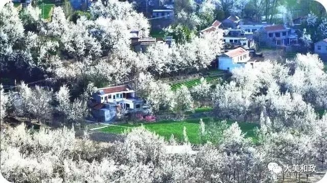 绿色和政春深夏浅风光好山美花浓待君来