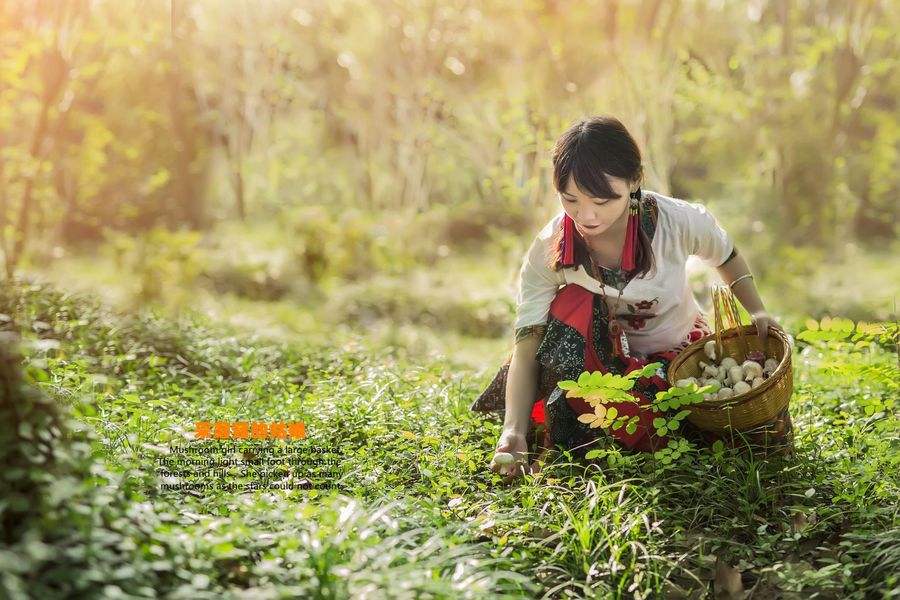 300首音频儿歌多多,儿歌100首音频自动播放