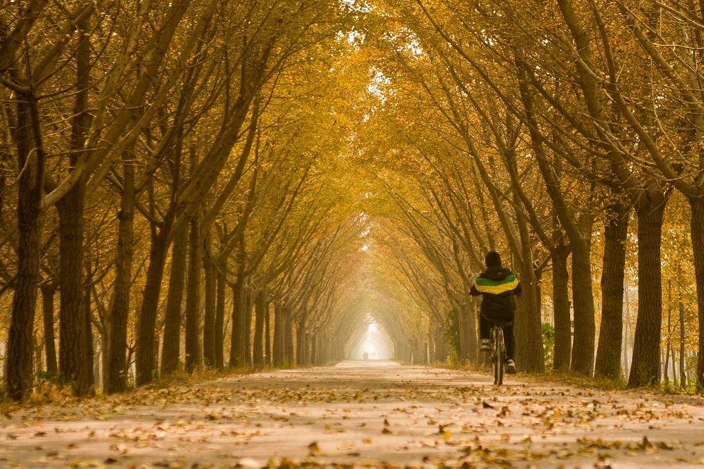 300首音频儿歌多多,儿歌100首音频自动播放