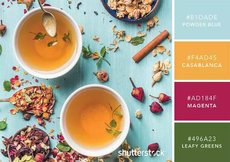 你知道彩虹是什么颜色吗,你知道彩虹的颜色吗英语翻译