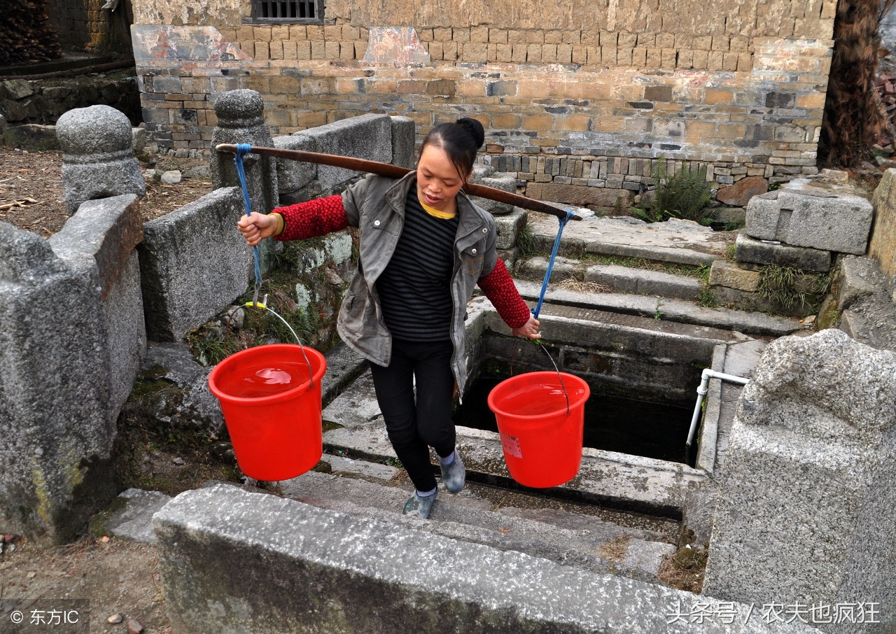 甲鱼塘墙里为啥有甲鱼,为什么新挖的水塘里面有甲鱼