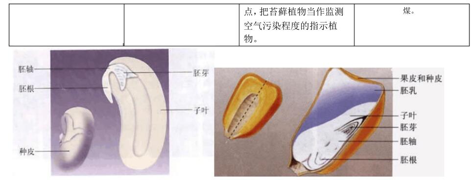 北师大版生物中考必背知识点,苏教版生物中考知识点总结填空版