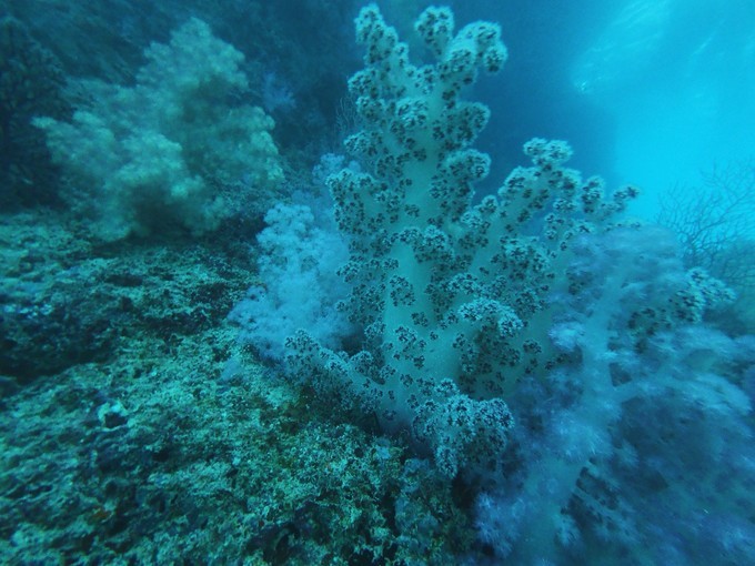帕劳的海景风光给人美的享受,帕劳的海洋和沙滩风景图片