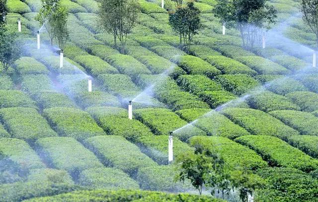 厉害了！这些地方被国办点名表扬了，看看有你家乡没？