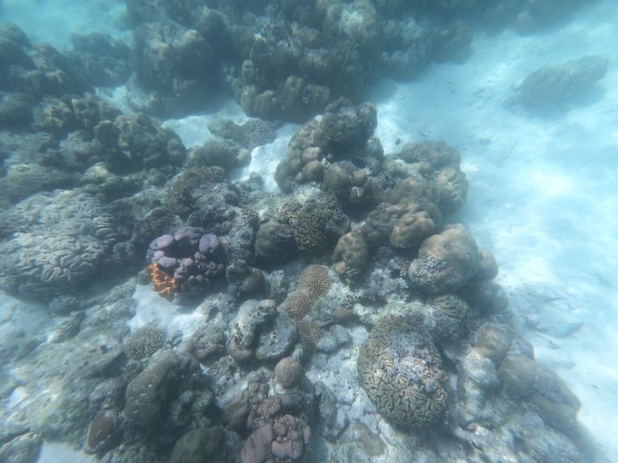 帕劳的海景风光给人美的享受,帕劳的海洋和沙滩风景图片