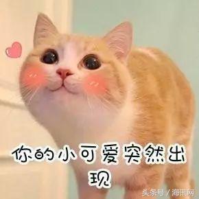 海淘衣服潮,海淘便宜又好看的衣服