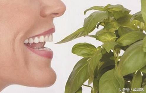 经常吸烟有多可怕,长期吸烟的嘴长什么样