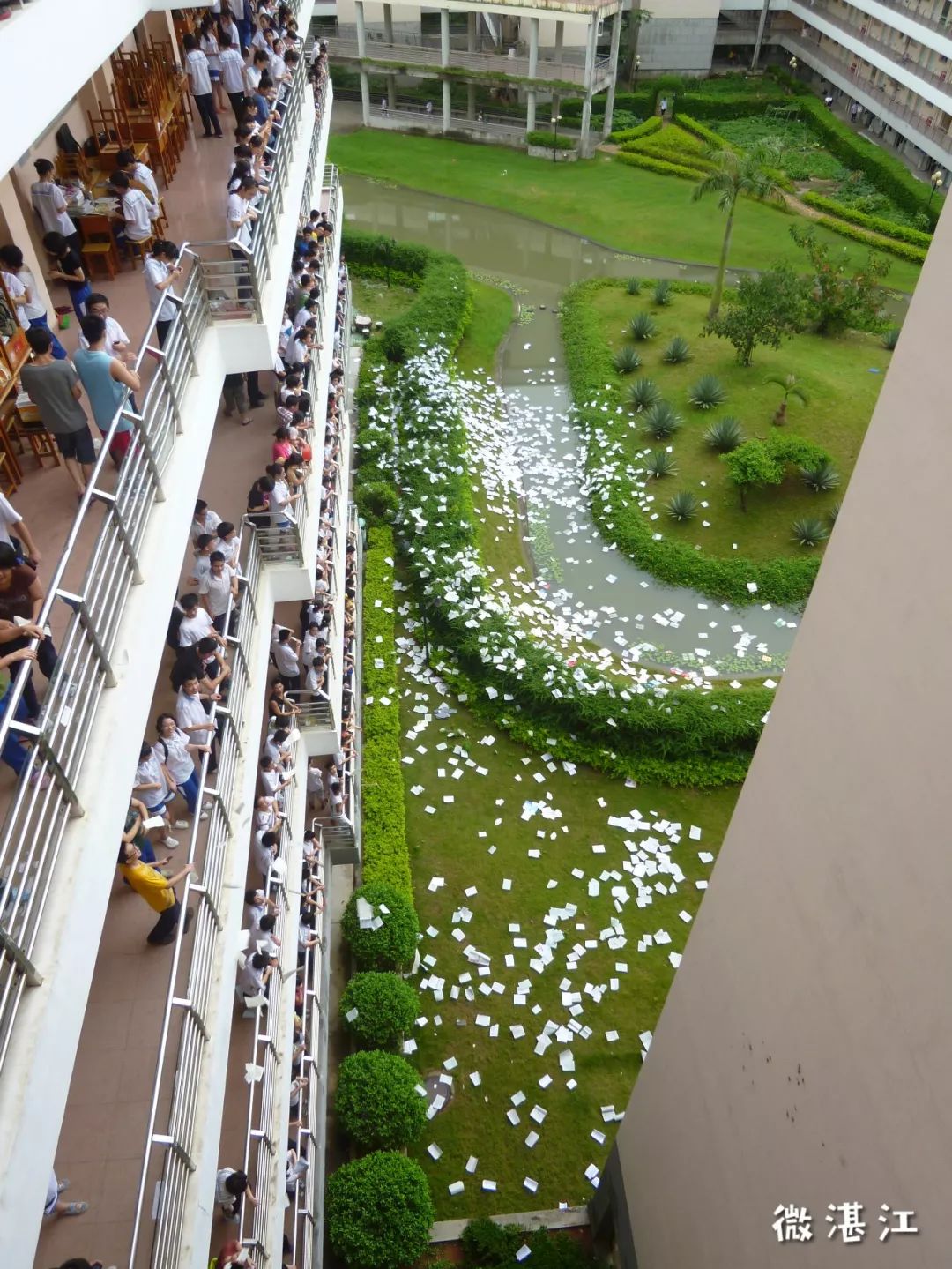 谢谢你二年级,谢谢你雷州话