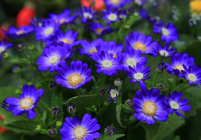 魏子昌经典诗词,魏子昌律诗全集