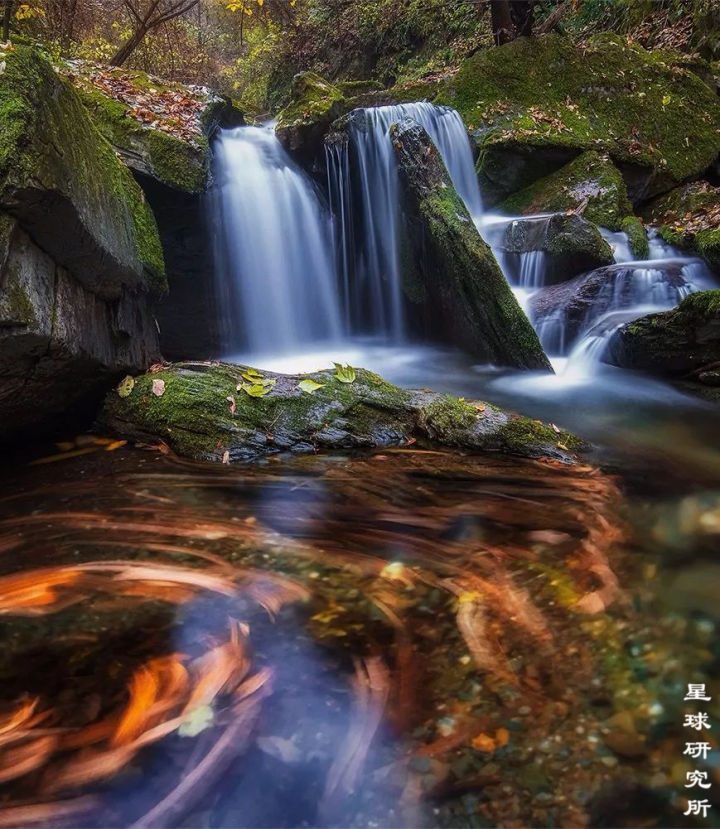 什么是西安事变,西安市本级是什么意思