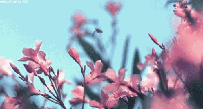 支付宝能贷小额贷款吗,支付宝信用贷借款平台