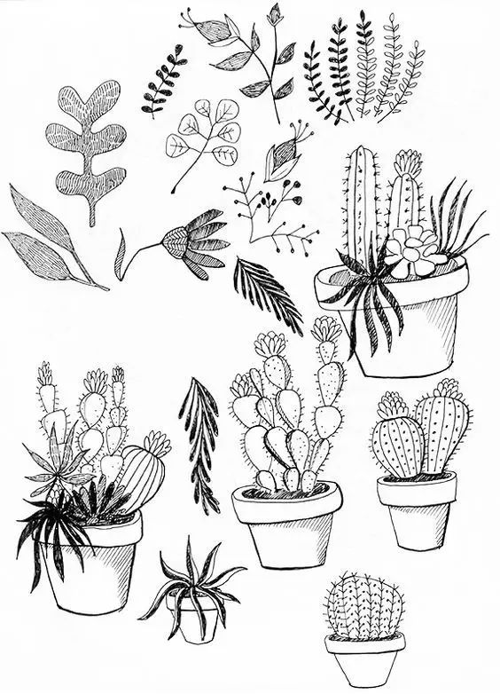 有了这些画画教程，这一年都不用买资料了