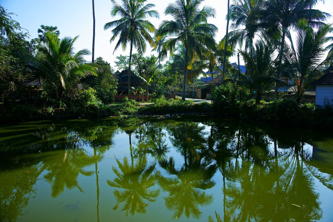 去云南旅游要注意哪些问题,去云南旅游要注意什么问题