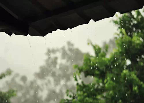 关于雨的诗句古诗大全简短,描写离别细雨的古诗