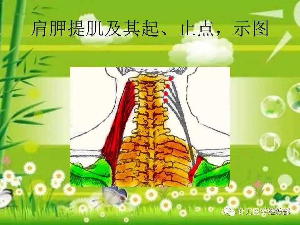 颈椎肌肉损伤用小针刀治疗,针刀治疗颈椎导致神经损伤