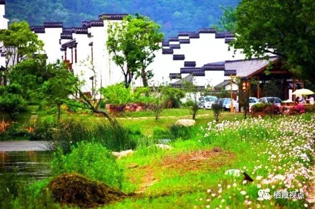 如果遇见你抖音版,如果遇见你2018浙江卫视