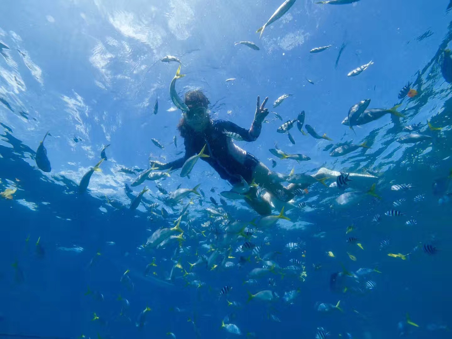 帕劳可以潜水吗,去帕劳玩是什么感觉