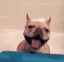 洗澡时最容易犯的几种错误！90%的人至少犯过一种