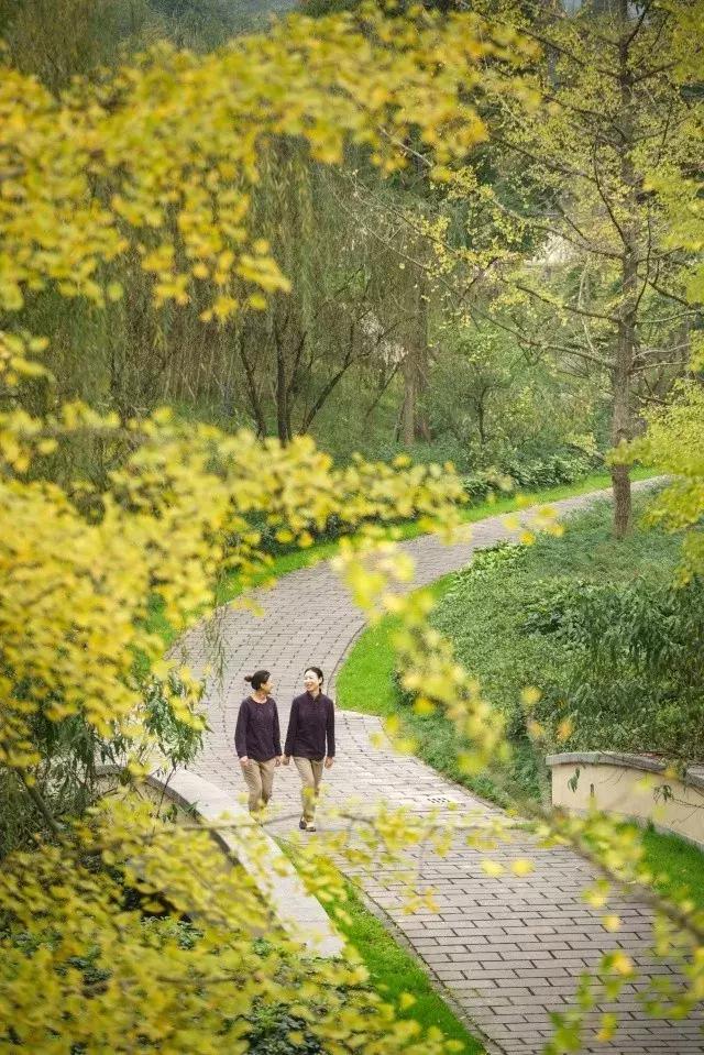 六善青城山景区,青城山六善