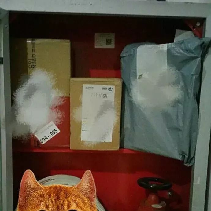 快递小哥送快递没人怎么办,快递到了家里没人可以拒收吗