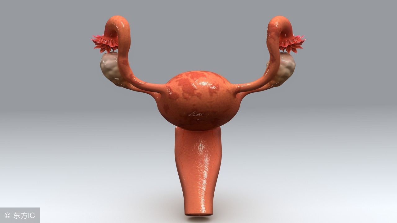 怀孕宫颈息肉会导致肚子疼吗,怀孕宫颈息肉会引起早产吗