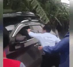 摘樱桃被骂,在小区里摘果子被业主制止还骂人