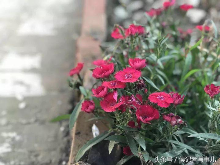 乐都区在海东市中心吗,乐城乐都