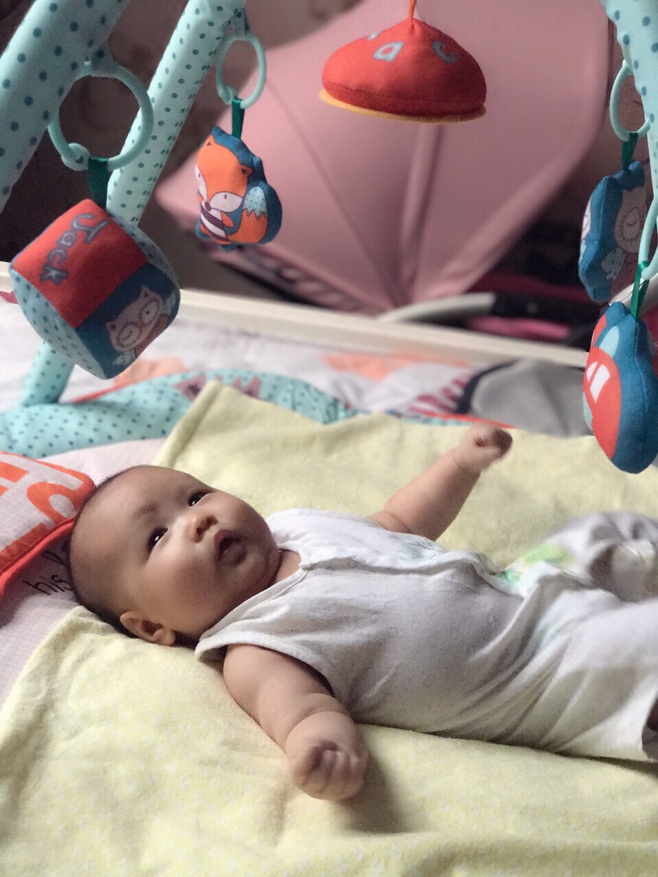 0-12个月宝宝的玩具怎么选 (0-12个月宝宝玩具怎么选)