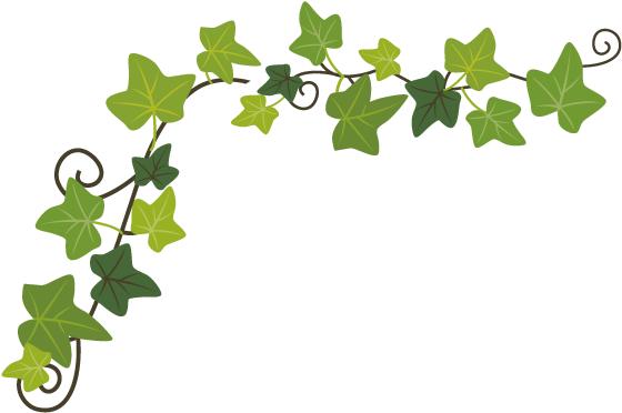 2018年招康复治疗研究生的学校,2017康复治疗师招聘