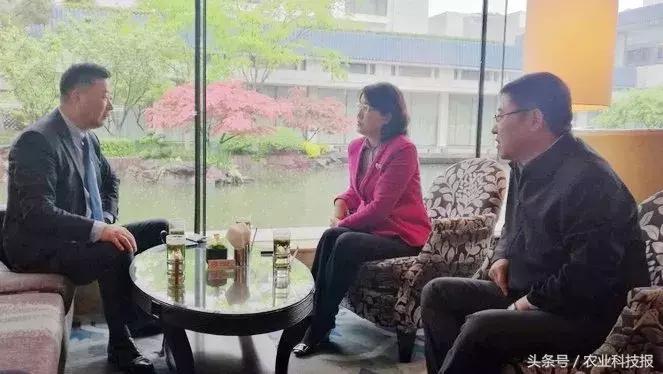 蝶变西安,富平农村蝶变