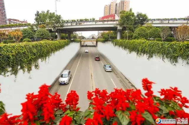 邵阳改名字需要什么手续,湖南邵阳改名字