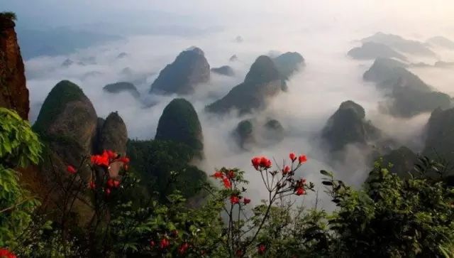 邵阳改名字需要什么手续,湖南邵阳改名字