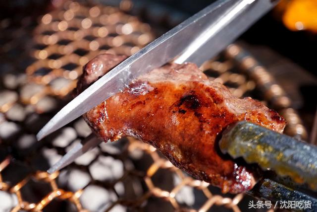 真正的肉食主义,肉食主义都有哪些