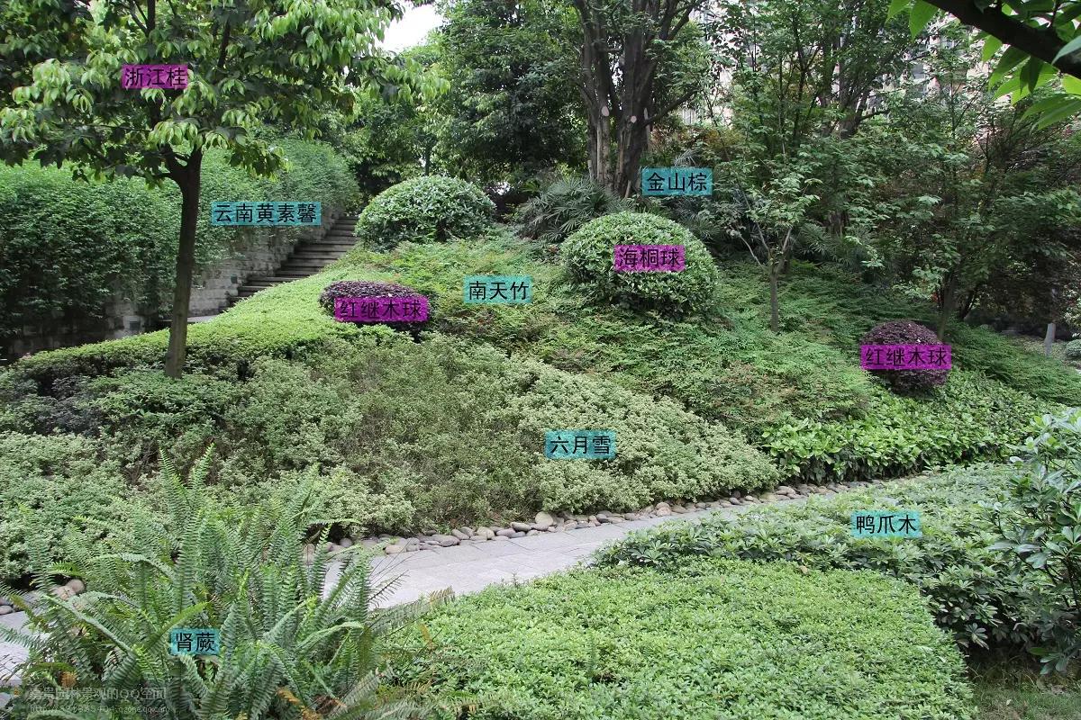 园林工程造价全套视频教程,园林工程预算及造价清单