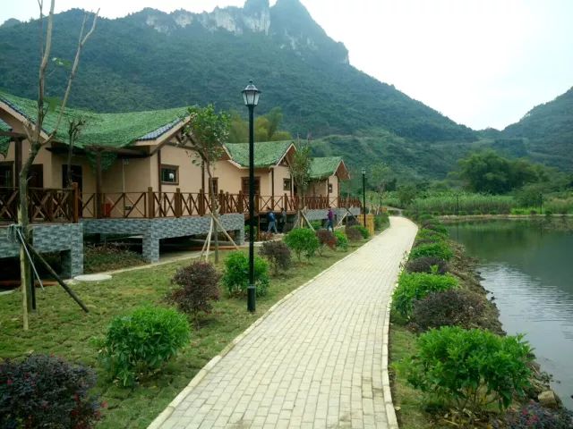 来上犹我养你高清图片,来武平我养你