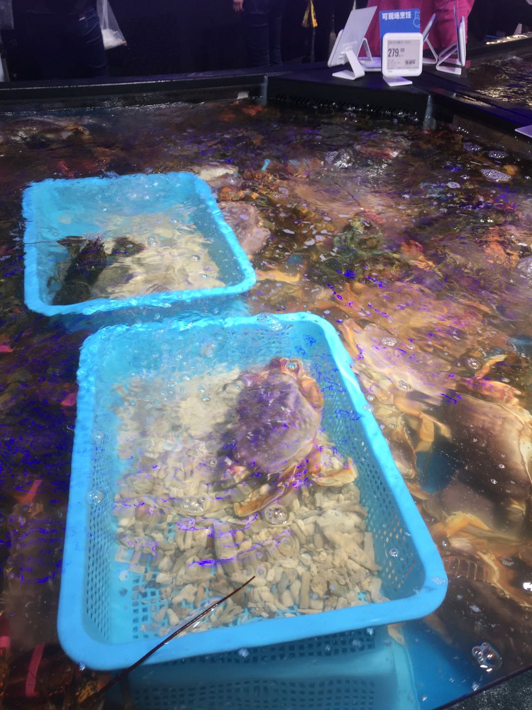 盒马鲜生西安海鲜,西安盒马鲜生哪个好吃