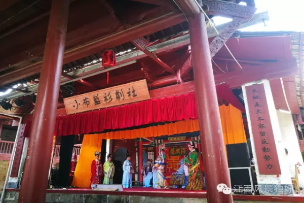 江西宁都小布茶,宁都县小布乡茶叶基地