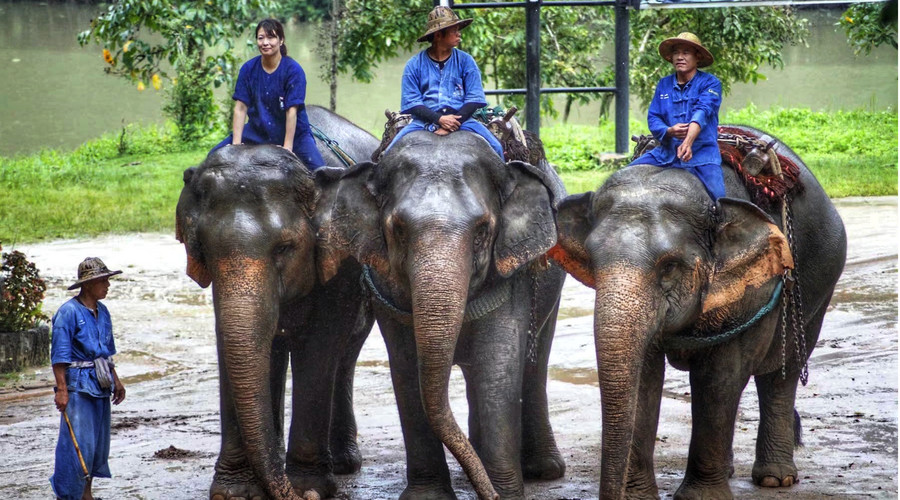泰国什么彩妆好用又便宜,泰国旅游必买好物