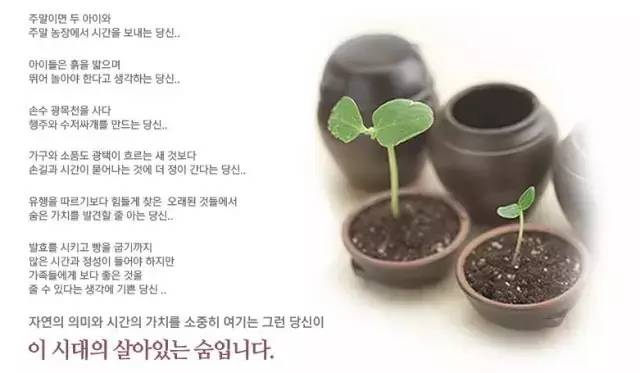 呼吸37°,呼吸37水凝霜