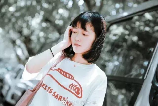 那么多关于温江的回忆,这让我怎么注销QQ