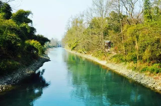 那么多关于温江的回忆,这让我怎么注销QQ