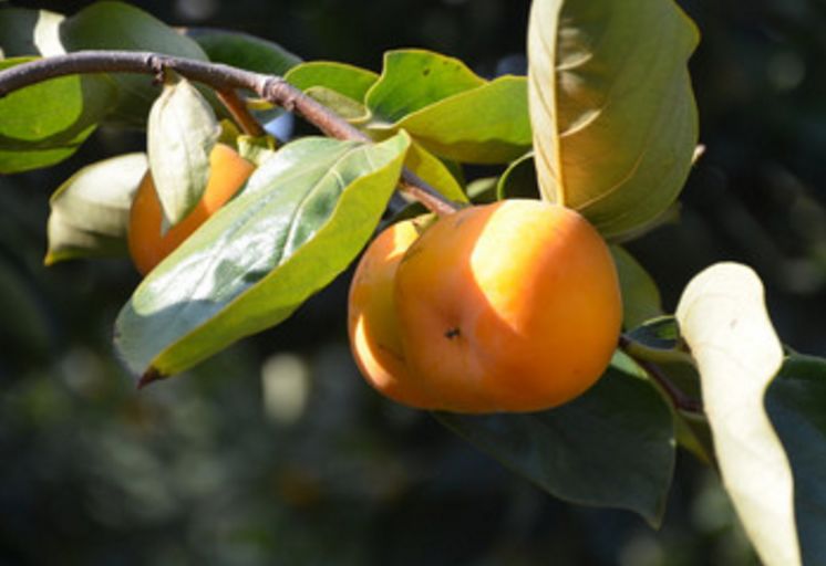 美文美图视频朗读,美文美图欣赏集锦