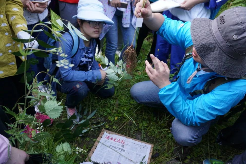 神奇的师大第三季｜那些让课堂燃起来的“网红”老师们！