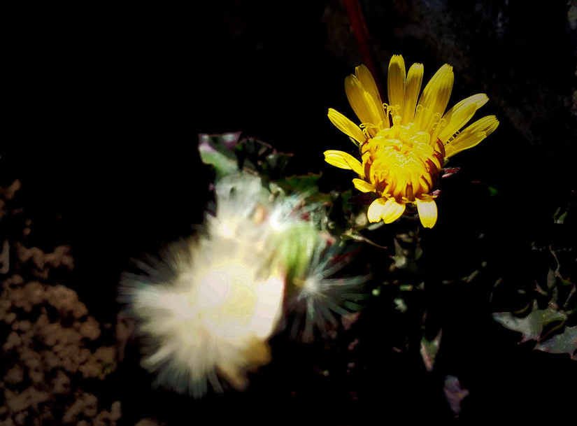 天华山-秦岭梁，又一条风景秀美的一日劲走线路